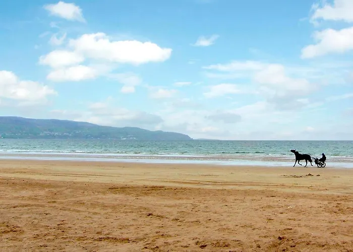 別荘 3 Bed In Limavady Oc-ii07522 *